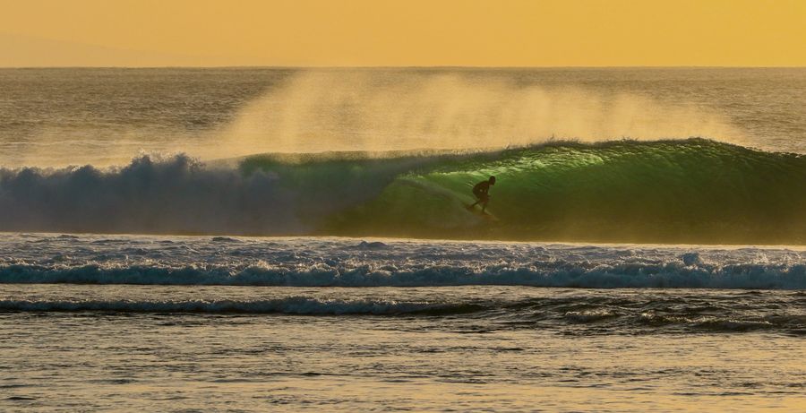 surfer in sea