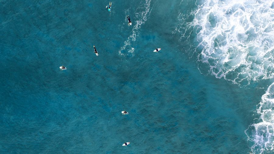 surfers in sea