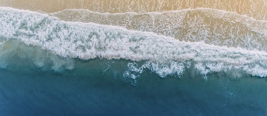 surfers in sea